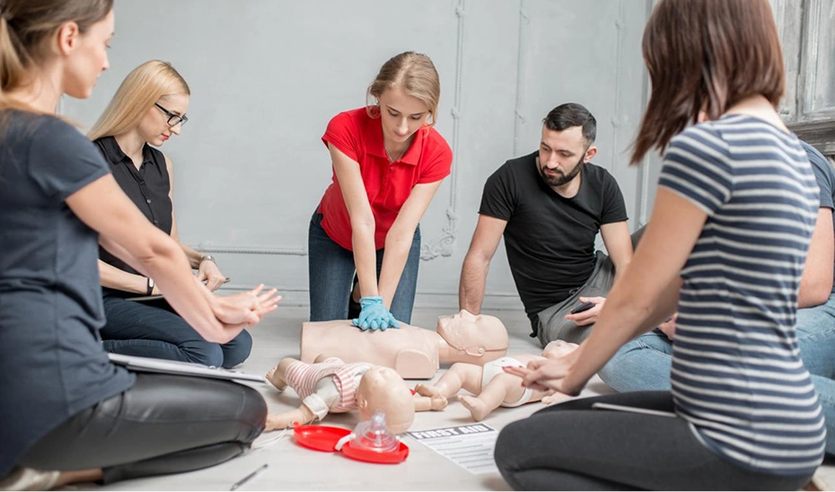 CPR training with mannequins in a class.